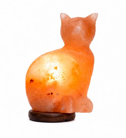 Hand-Carved Cat Himalayan Pink Salt Lamp – image 3