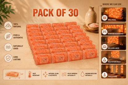 PSH-BRICK-PACK-30 | 5 | ChatGPT Image Aug 16, 2026, 10_12_08 PM.png