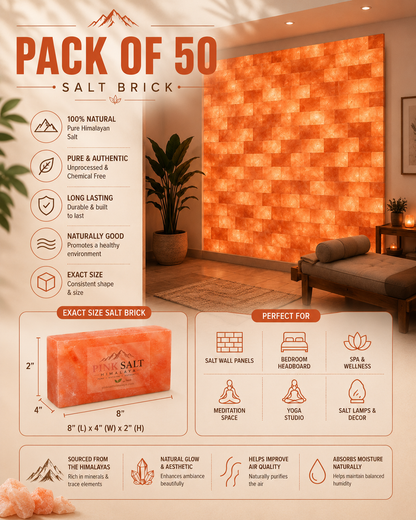 PSH-BRICK-PACK-50| 4 | ChatGPT Image Aug 16, 2026, 10_43_33 PM.png