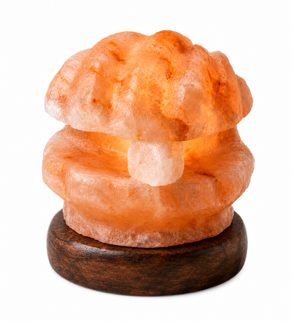 Hand-Carved Shell Himalayan Pink Salt Lamp – image 1