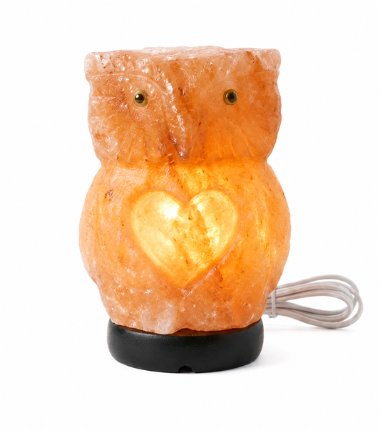 Hand-Carved Owl Himalayan Pink Salt Lamp – image 1