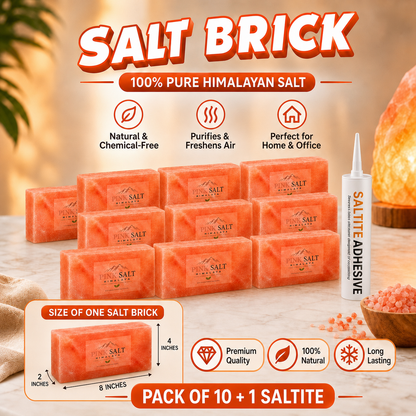 Pink Salt Himalaya salt brick main image - Pack of 10 + 1 Saltite