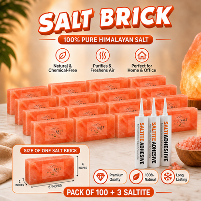 Pink Salt Himalaya salt brick main image - Pack of 100 + 3 Saltite