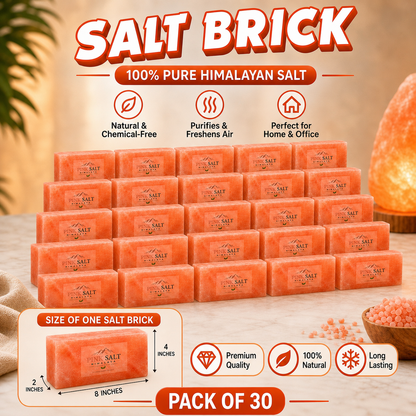 Pink Salt Himalaya salt brick main image - Pack of 30